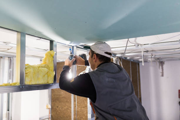 Best Eco-Friendly Insulation in Cape May, NJ