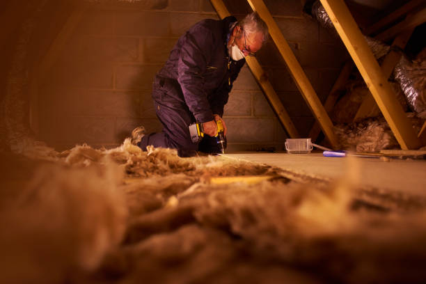 Best Geographic-Specific Insulation Services in Cape May, NJ
